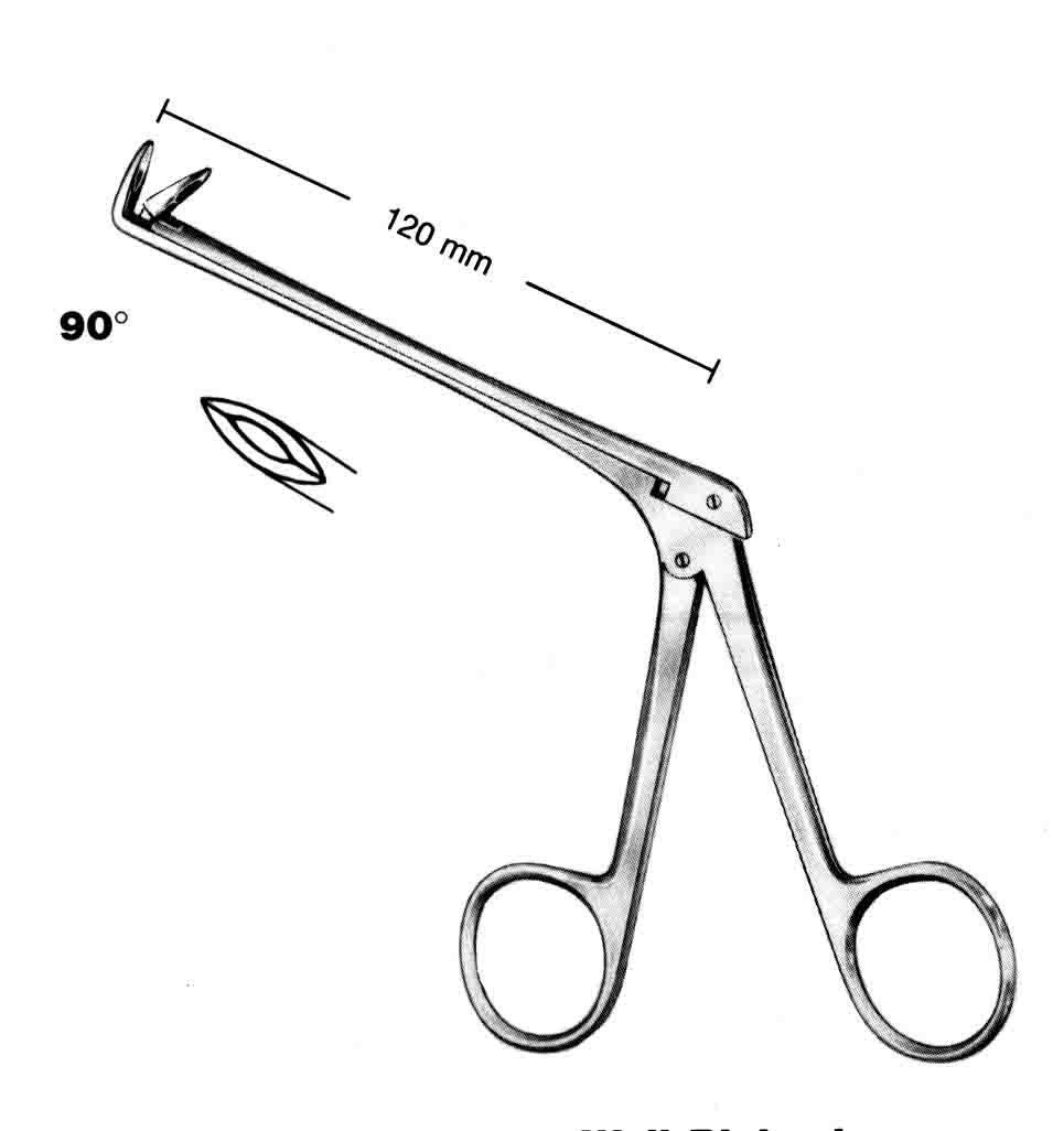BURUN FORSEPSİ  90' 12CM